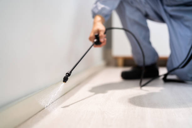 Professional exterminator conducting IPM assessment in Shenorock